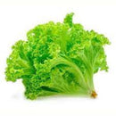 Alface Crespa Gourmet TOMITA 170g