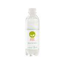 Água De Coco Greenpeople Refrigerada 300ml
