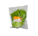Alface Crespa Cambará Orgânica Unidade
